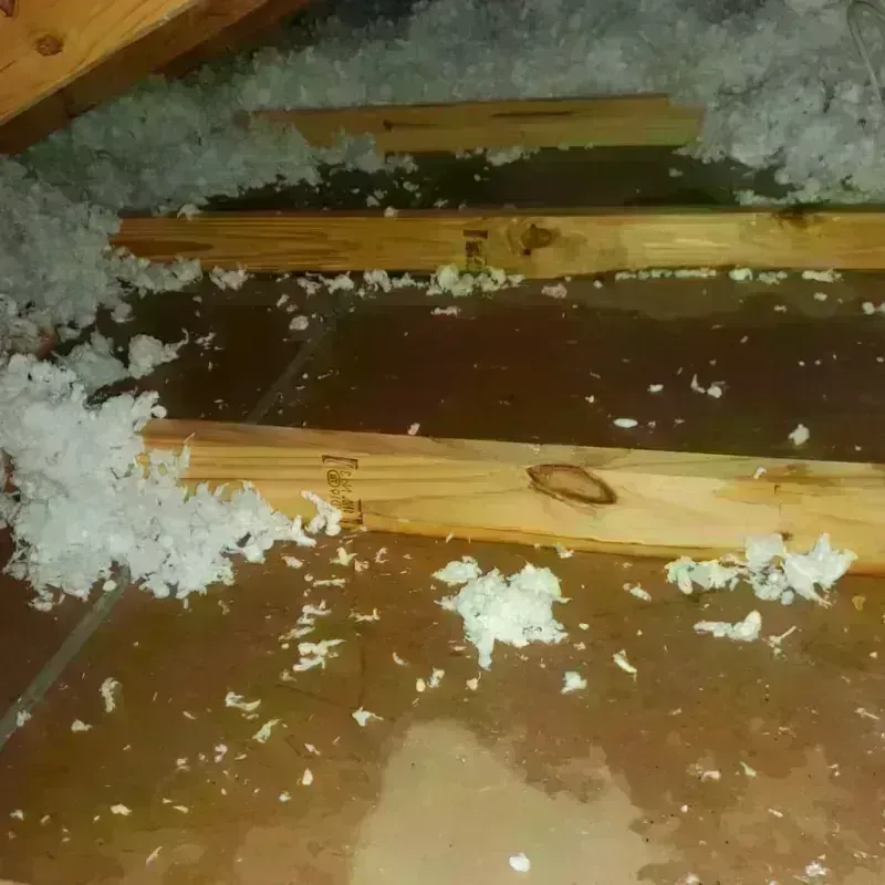 Attic Water Damage in Orchard Park, NY